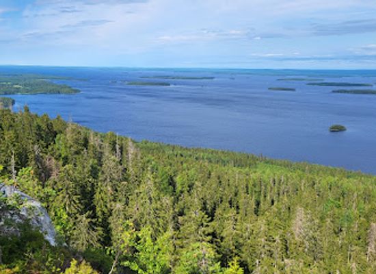 finland/koli-national-park/shop/paha-koli-hill