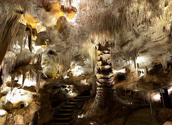australia/limestone-coast/shop/tantanoola-caves-conservation-park