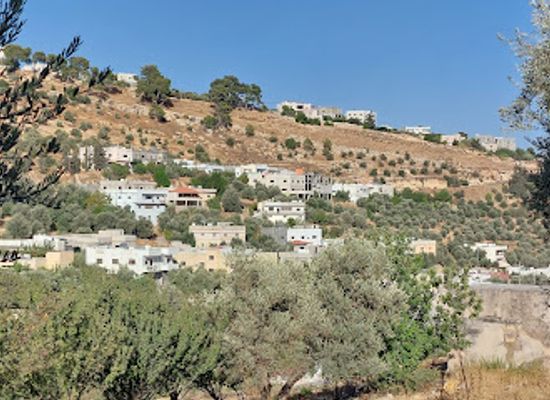 jordan/dibeen-forest/shop/dbyn