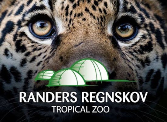 denmark/southern-jutland/shop/randers-regnskov