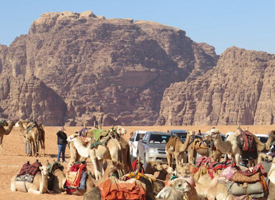 jordan/wadi-ghuweir/shop/wadi-rum-visitor-center