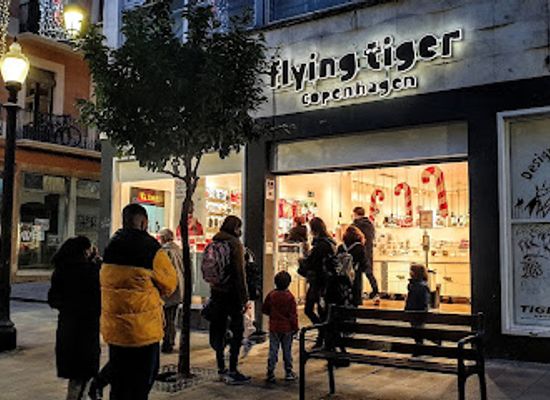 spain/tarragona/shop/flying-tiger-copenhagen