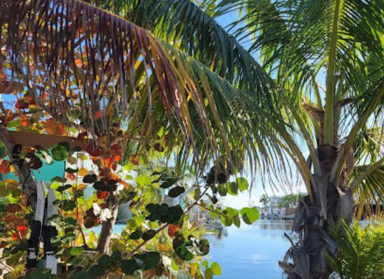 florida/marathon-key/shop/southwin