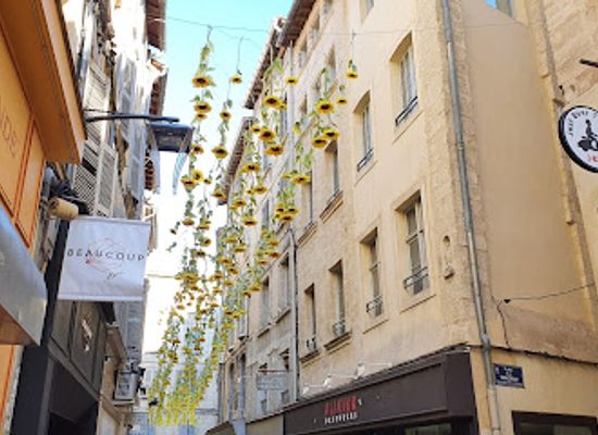 france/avignon/shop/beaucoup-store