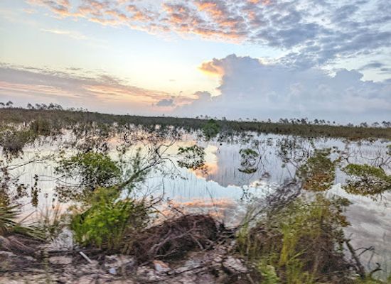 the-bahamas/andros-island/shop/crab-replenishment-reserve