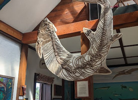 kansas/glaciated-region/shop/keystone-gallery