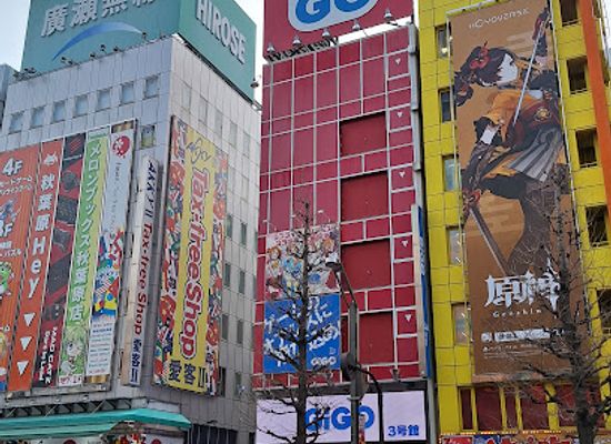 japan/tokyo/akihabara/shop/akihabara