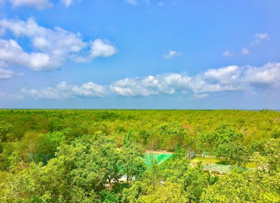 india/sundarbans/shop/sajnekhali-watch-tower