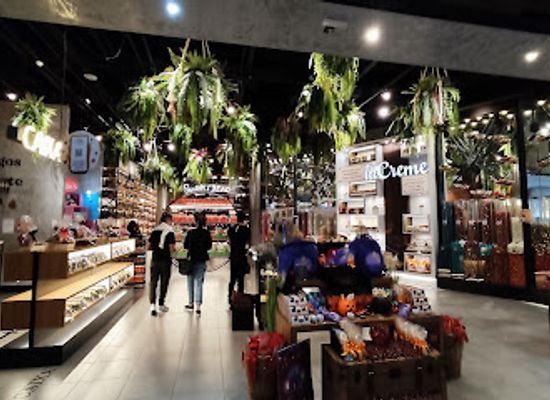 brazil/south-region/shop/internacional-shopping-guarulhos