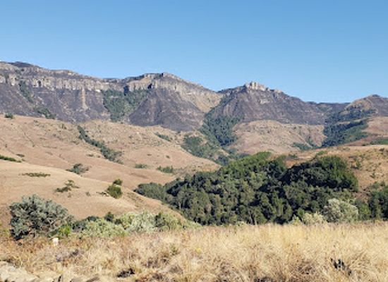 south-africa/drakensberg-mountains/shop/drakensberg-canopy-tour