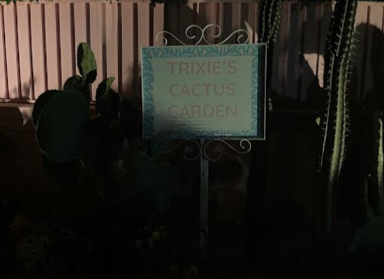 california/palm-springs/shop/trixie-motel-gift-shop