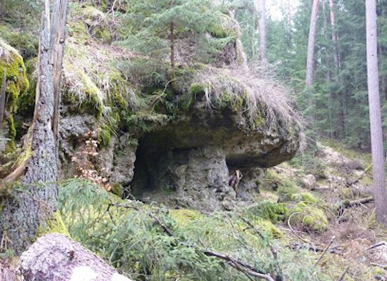 germany/franconian-switzerland/shop/naturpark-frankische-schweiz-veldensteiner-forst