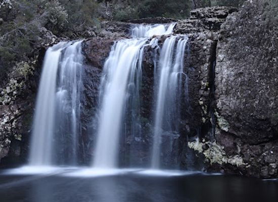australia/cradle-mountain-lake-st-clair-national-park/shop/pencil-pine-falls