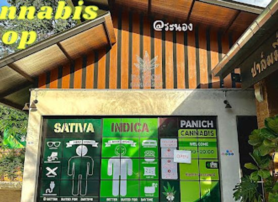 thailand/ranong/shop/panich-cannabisranong