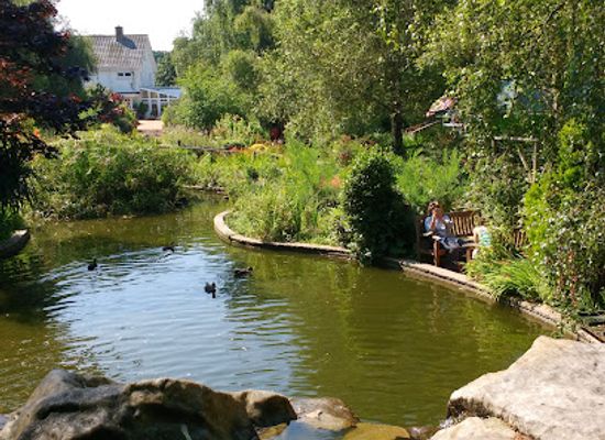 jersey/portelet-bay/shop/reg-s-award-winning-gardens