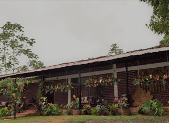 colombia/cauca-valley/shop/organico-follajes-y-flores-off