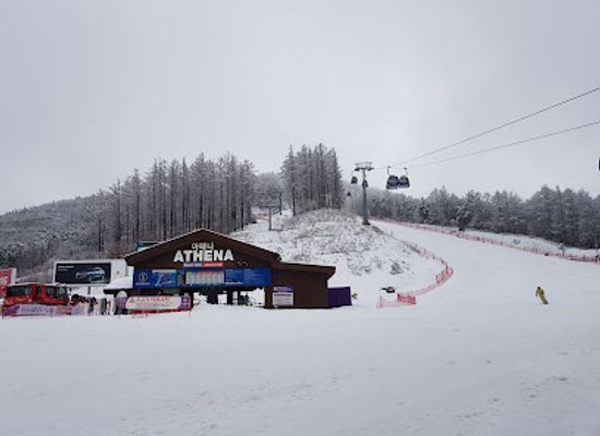 south-korea/yeongdong-region/shop/high1-ski-resort