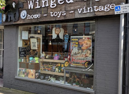 united-kingdom/leicestershire/shop/winged-ape-vintage