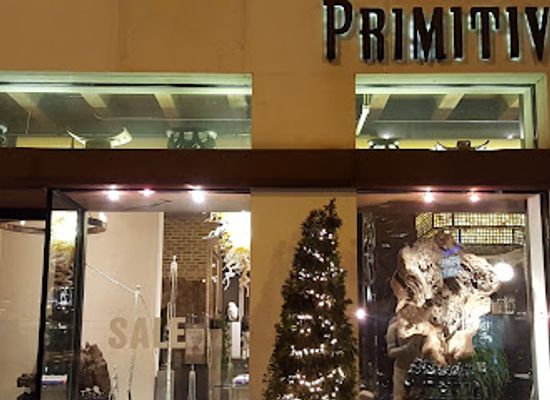 illinois/chicago/west-loop/shop/primitive