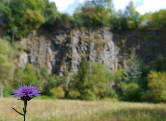 germany/westerwald/shop/outdoor-erlebnisse-westerwald