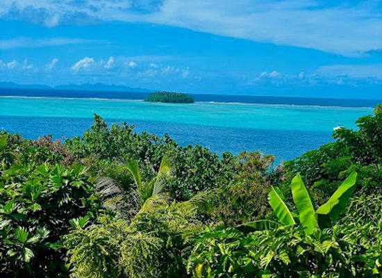 french-polynesia/society-islands/shop/ltb-fenua-organic-farm-camping