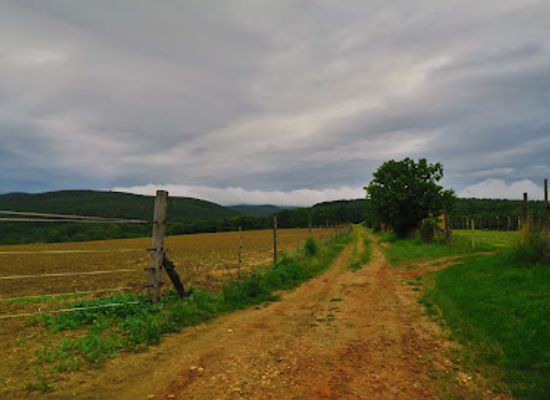 hungary/koszeg-mountains/shop/koszeg-mountains
