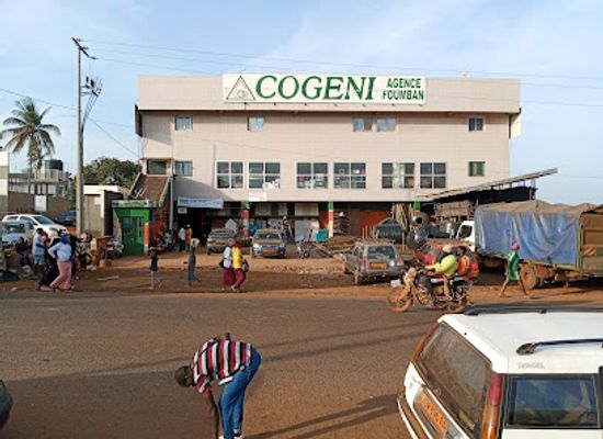 cameroon/foumban/shop/cogeni-foumban