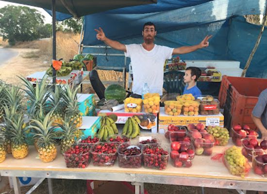 israel/hod-hasharon/shop/hakfariya-shel-gingi