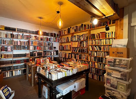 iceland/akureyri/shop/fornbokabuoin-frooi