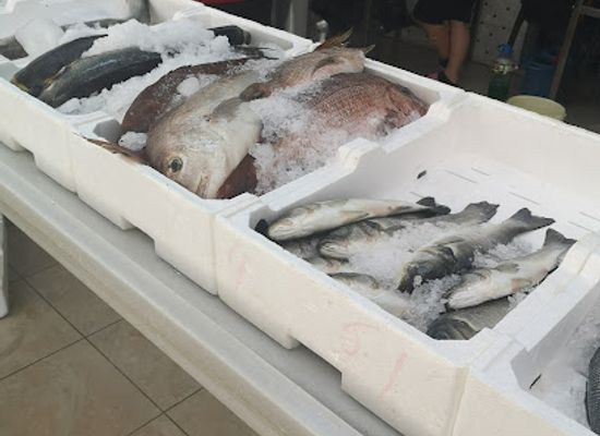 albania/delvina/shop/filippi-fresh-fish-store