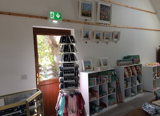 ireland/county-kerry/shop/the-pink-umbrella