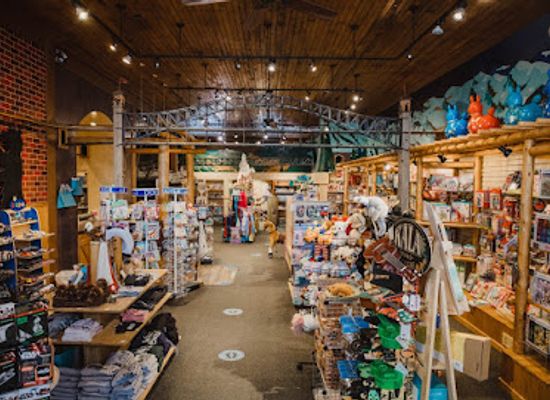 montana/bozeman/shop/great-rocky-mountain-toy-company