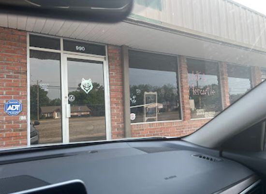 alabama/prattville/shop/wolf-mercantile-crystal-shop-botanica
