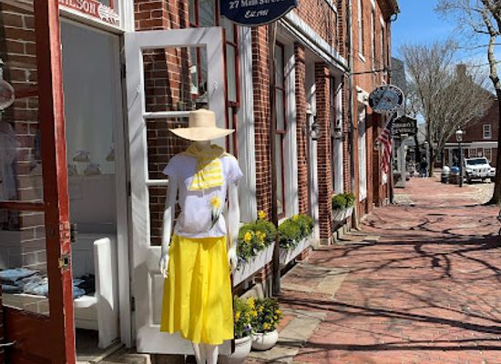 massachusetts/nantucket-county/shop/erica-wilson-inc