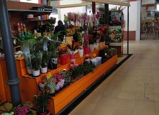 portugal/faro/shop/mercado-municipal-de-loule