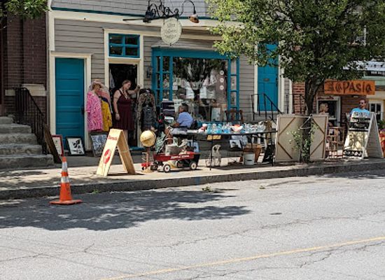 new-york/albany/lark-street/shop/elissa-halloran-designs