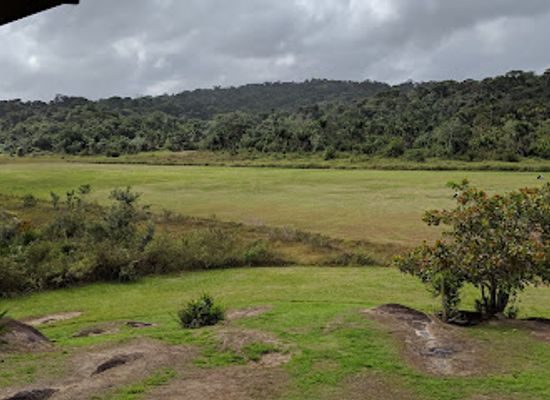 suriname/tafelberg-nature-reserve/shop/eilerts-de-haan-nature-preserve