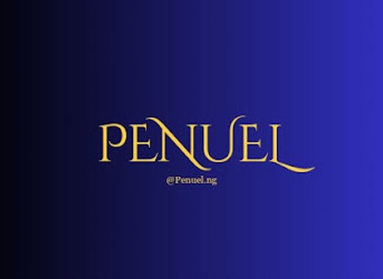 nigeria/warri/shop/penuel-ng