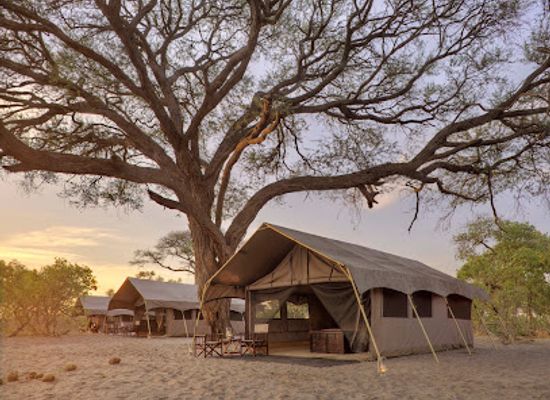 botswana/chobe-national-park/shop/andbeyond-savute-under-canvas