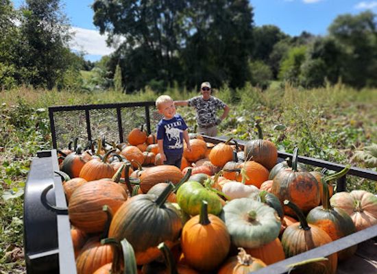 illinois/shawnee-national-forest/shop/friendly-farms