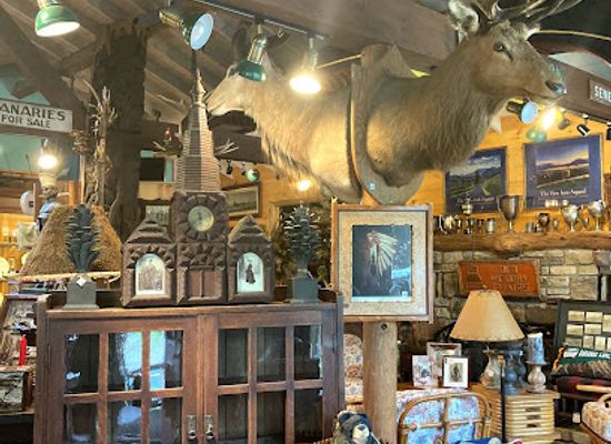 new-york/lake-placid/shop/adirondack-store-gallery