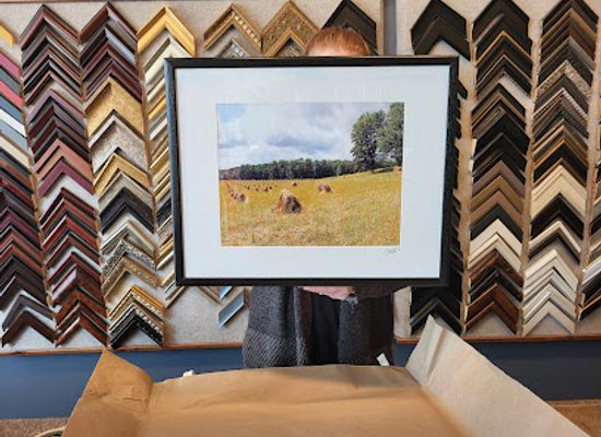 new-york/mohawk-valley/shop/frame-place-art-gallery