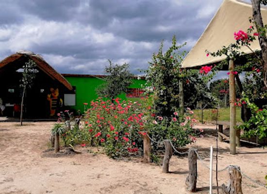 botswana/linyanti-wildlife-reserve/shop/afro-ville