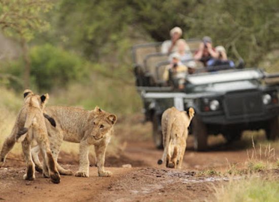 south-africa/battlefields/shop/thanda-safari-private-game-reserve