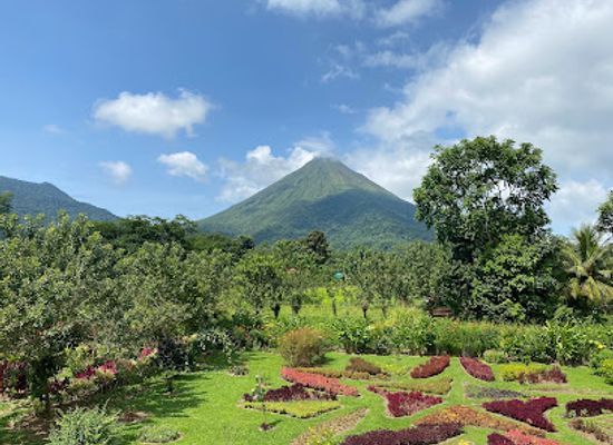 costa-rica/arenal-volcano-area/shop/arenal-bee-garden-honey-coffee-chocolate-tour