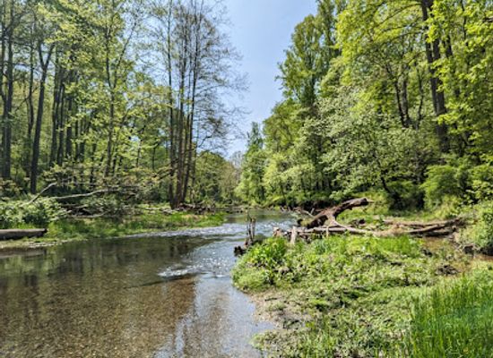 maryland/central-maryland/shop/gunpowder-falls-state-park-hereford-area