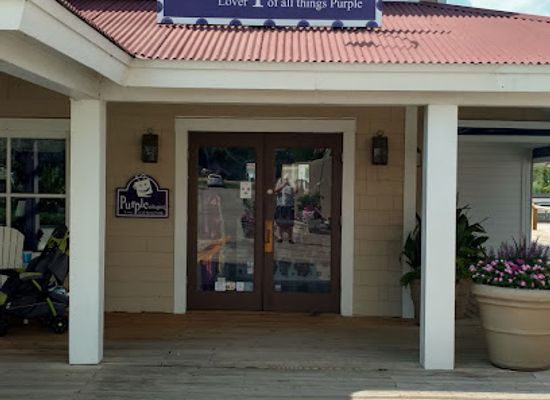 south-carolina/pee-dee/shop/purpleologist-store