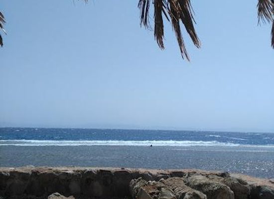 egypt/dahab/shop/acacia-dahab-friday-market