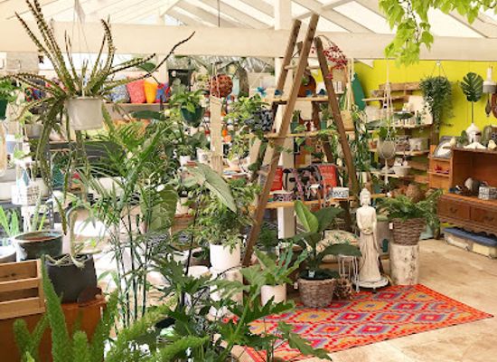 australia/great-ocean-road/shop/great-ocean-road-nursery