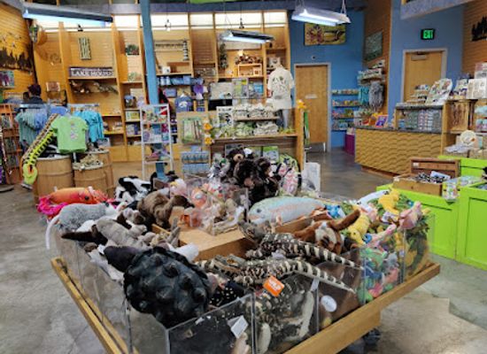minnesota/lake-superior/shop/explorers-cove-gift-shop